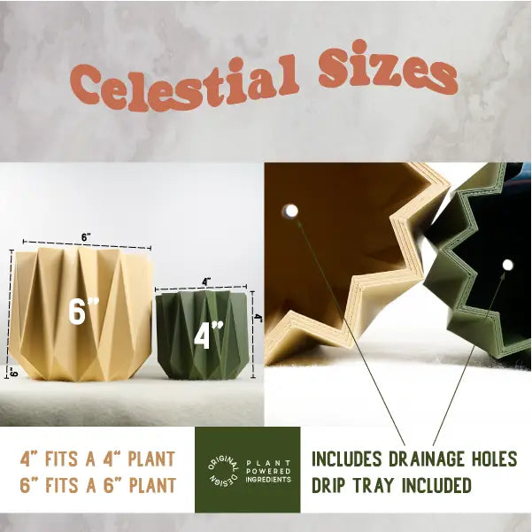 Rosebud | The Celestial 3D Planter