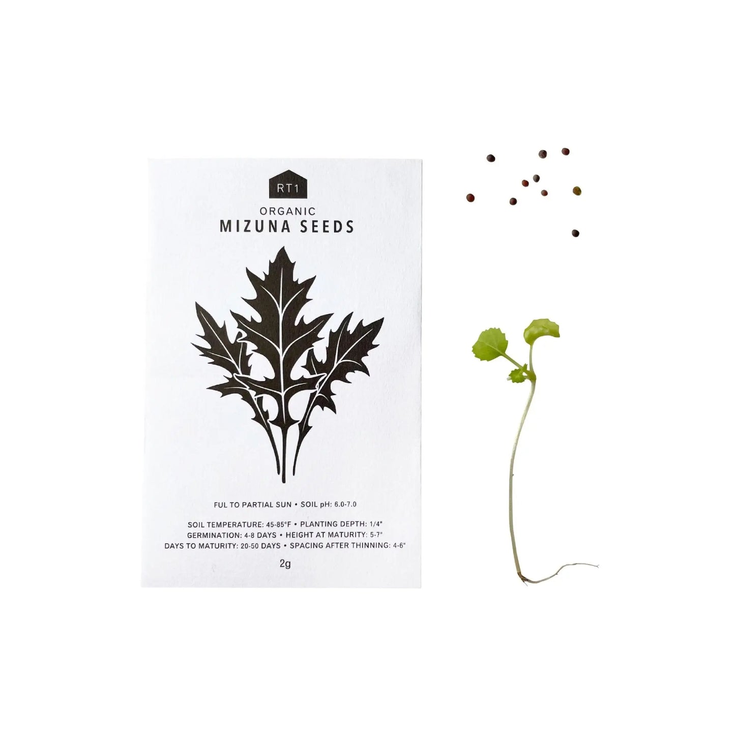 JAPANESE FALL VEG 5PK |  SEEDS