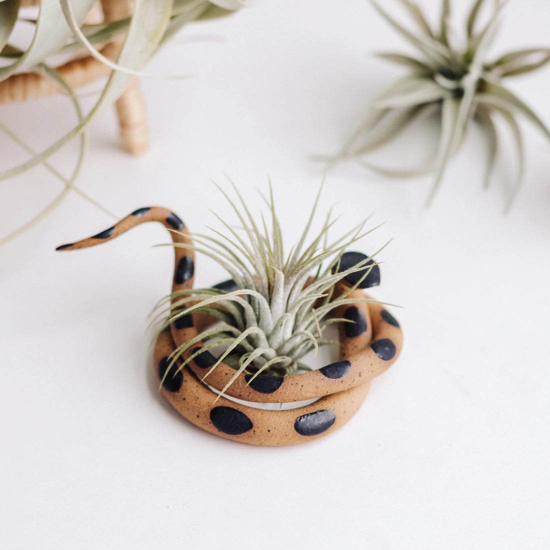 Ceramic Snake