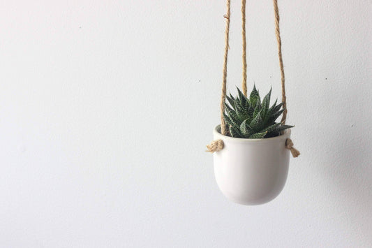 Matte Boho Ceramic Hanging Planter