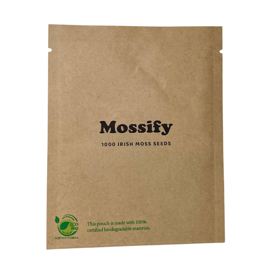 Mossify | Irish Moss Seed Sagina Subulata