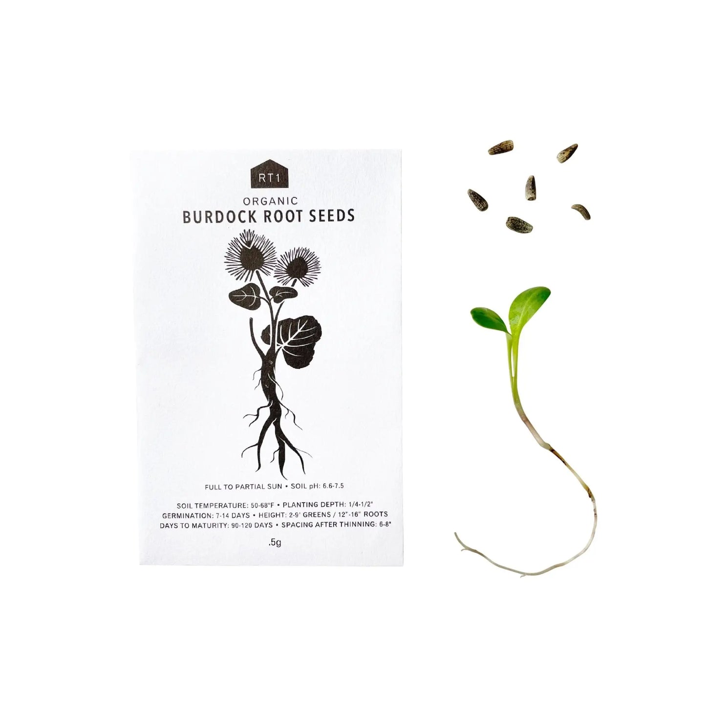 JAPANESE FALL VEG 5PK |  SEEDS