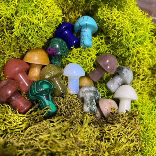 Mini Crystal Mushrooms