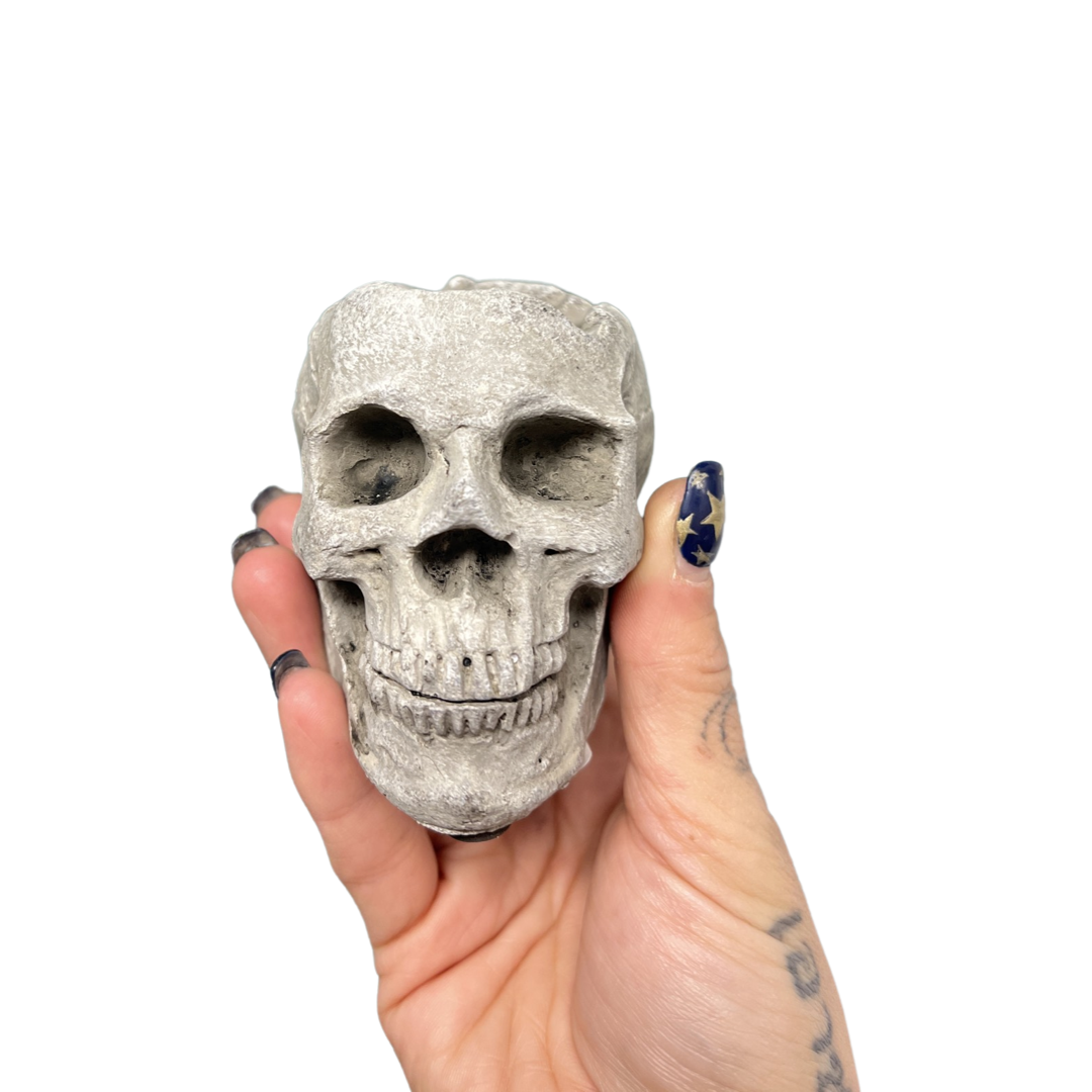 Anatomical Skull Planter Concrete