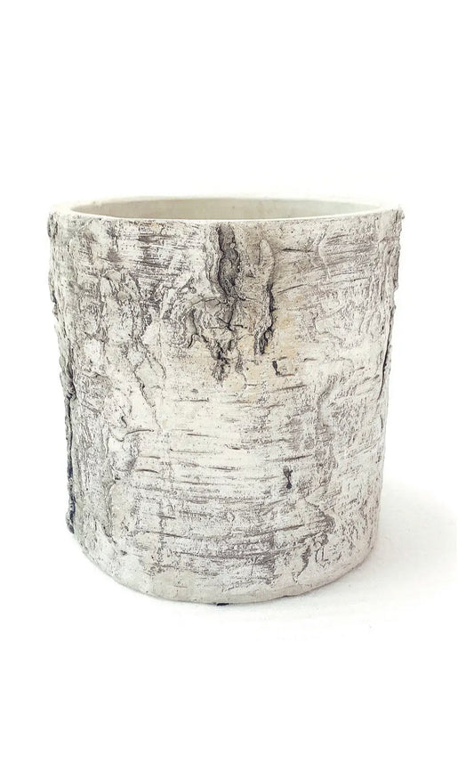 Concrete Birch Planter