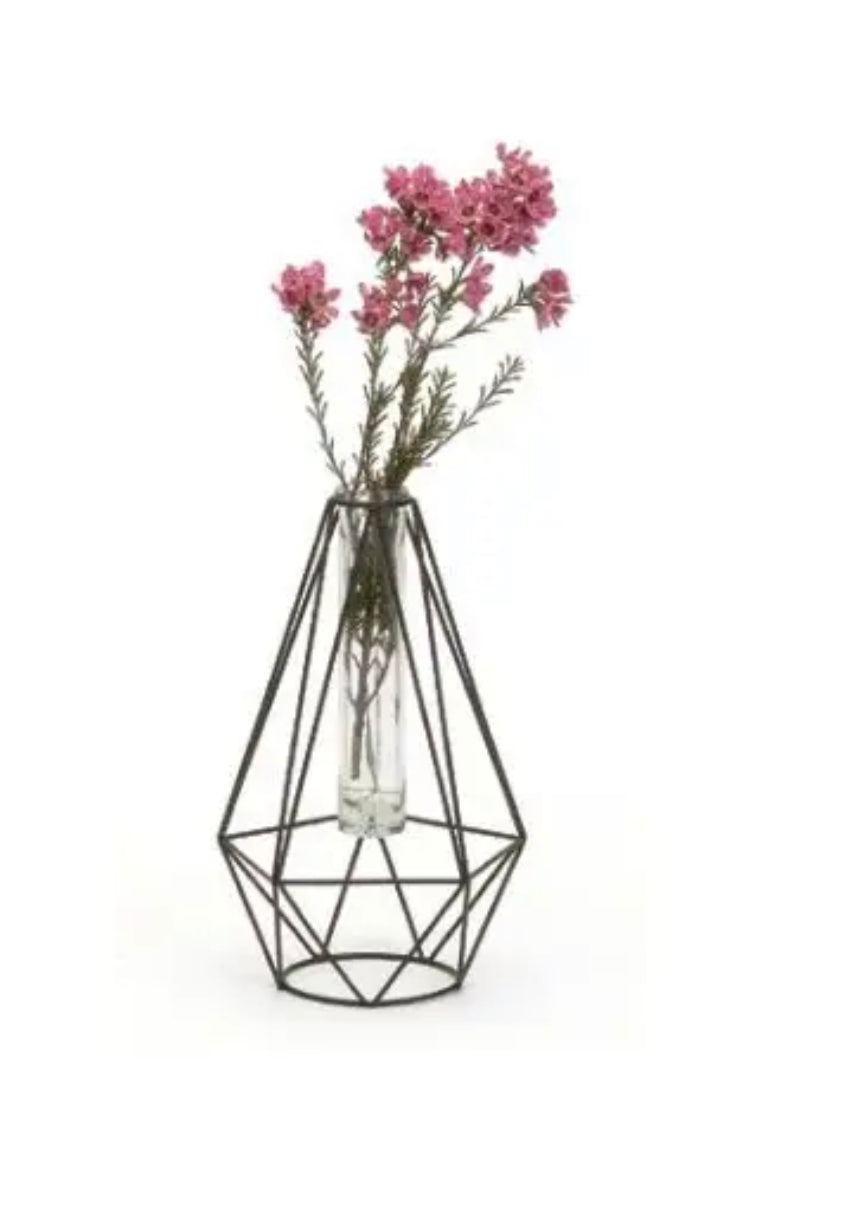 Geometric Glass Tube | Vase & Propagation