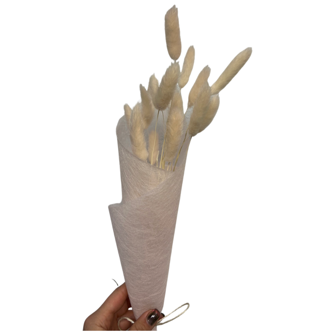 Dried & Preserved Floral | Bunny Tails