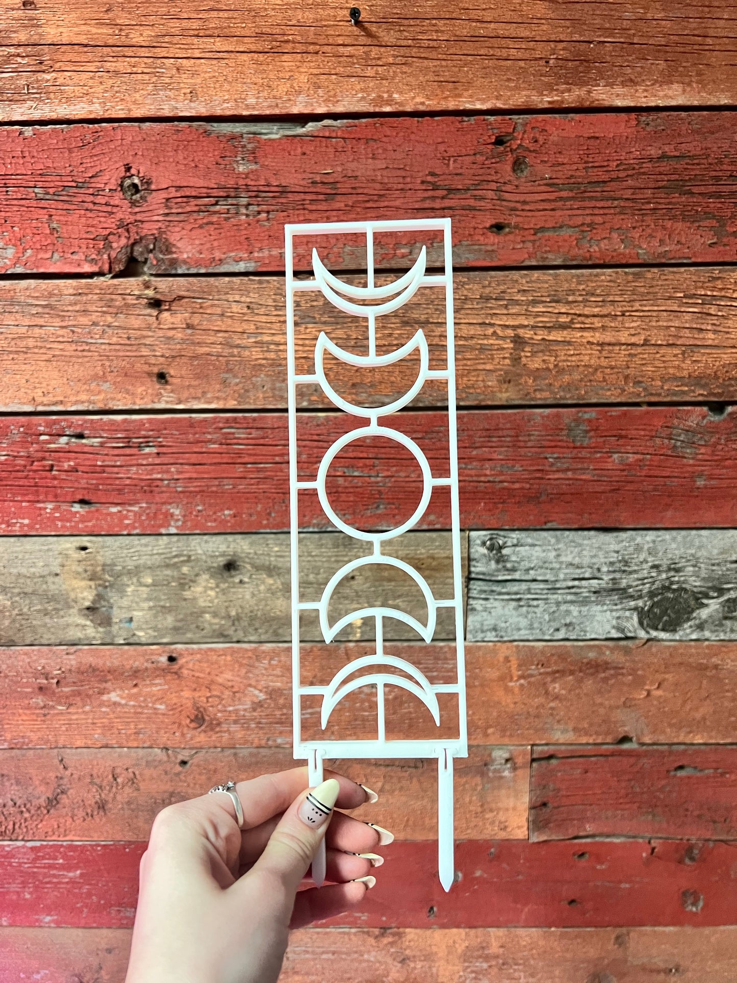 Trellis | Pine & Sprout