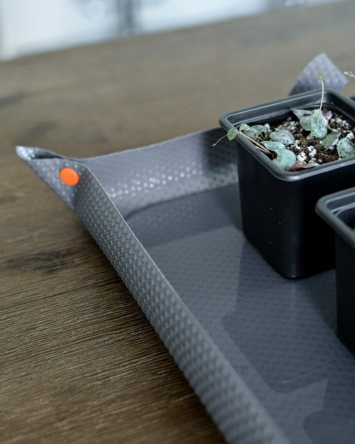 Plant Mats | PLATS