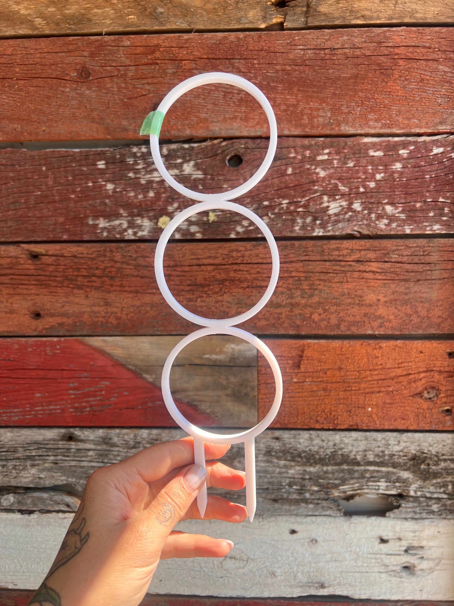 Trellis | Pine & Sprout