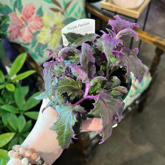 Purple Passion