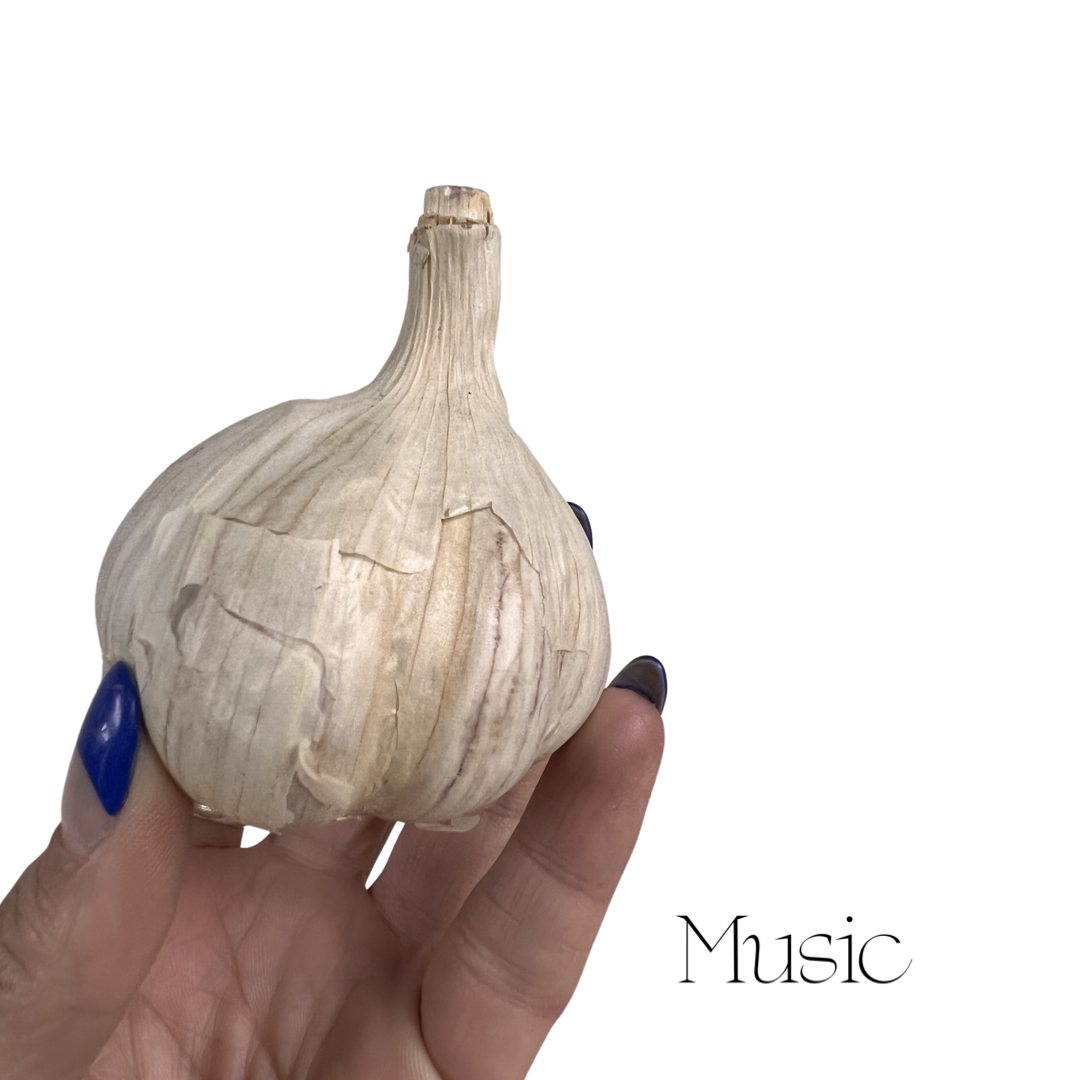 Garlic | Music 3pk